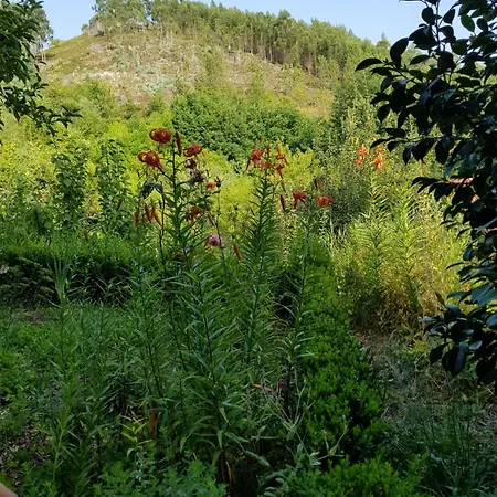 - Hippie Garden Виейра-ду-Минью