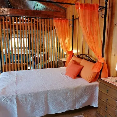 カントリーハウス - Hippie Garden *