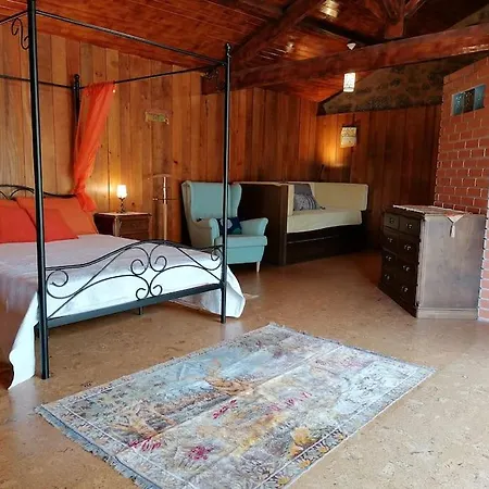 - Hippie Garden فييرا دو مينهو