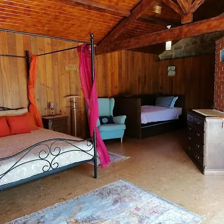 - Hippie Garden ヴィエイラ・ド・ミーニョ