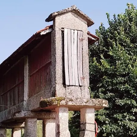 - Hippie Garden ヴィエイラ・ド・ミーニョ