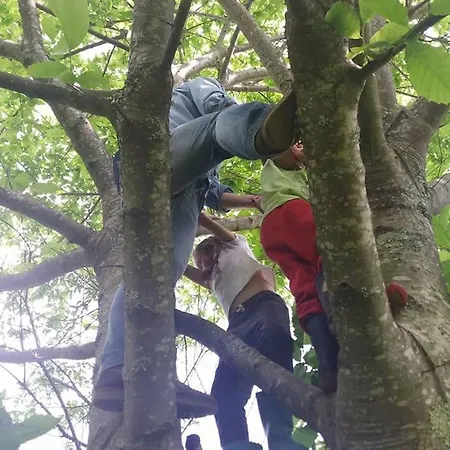 - Hippie Garden カントリーハウス