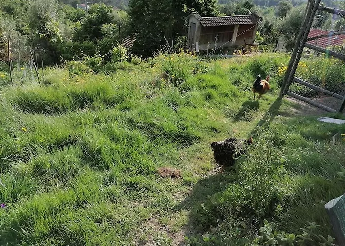 Kır Evi - Hippie Garden Vieira do Minho