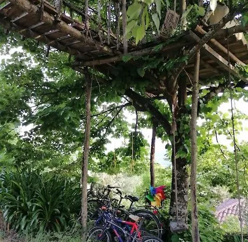 Kır Evi - Hippie Garden Vieira do Minho