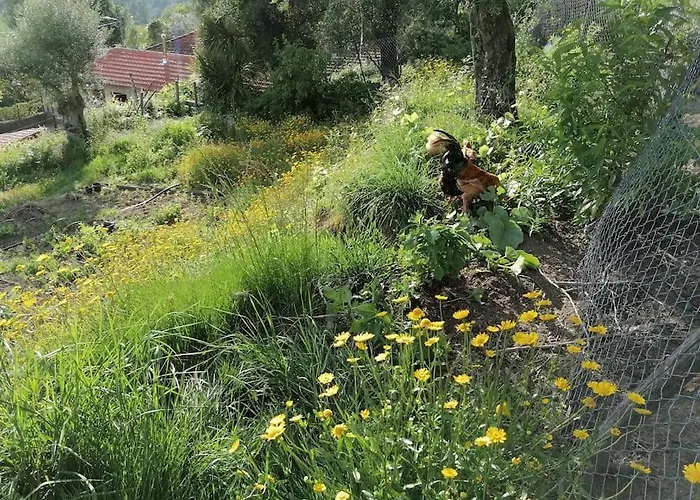 - Hippie Garden * Vieira do Minho