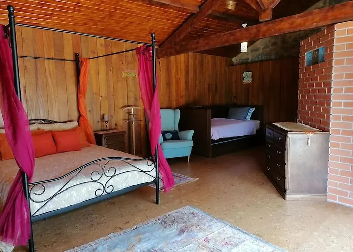 - Hippie Garden Виейра-ду-Минью